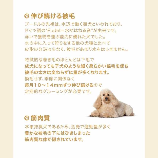 ロイヤルカナン 犬用 ドッグフード プードル 成犬用 ７．５ｋｇ