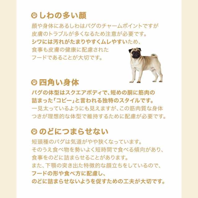 ロイヤルカナン 犬用 ドッグフード　パグ　成犬・高齢犬用　１．５ｋｇ　３１８２５５０７５２４０４　ジップ付　お一人様５点限り｜au PAY マーケット