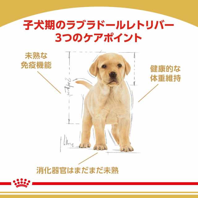 ロイヤルカナン 犬用 ドッグフード ラブラドールレトリバー 子犬用