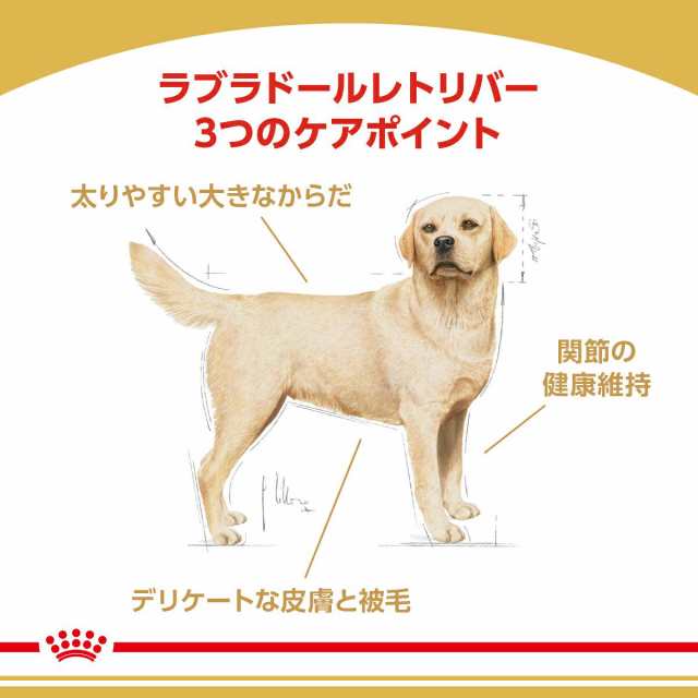 ロイヤルカナン 犬用 ドッグフード ラブラドールレトリバー 成犬〜高齢