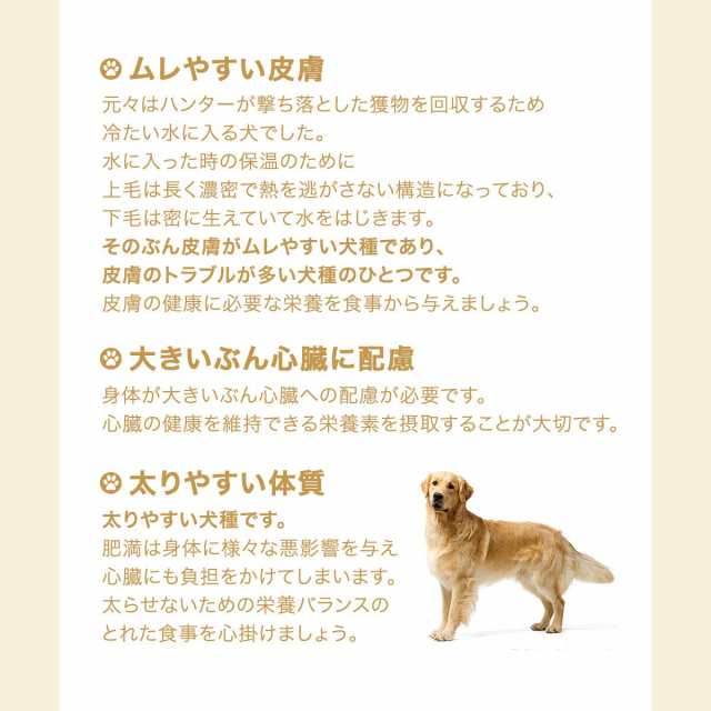 ロイヤルカナン 犬用 ドッグフード ゴールデンレトリバー 成犬・高齢犬