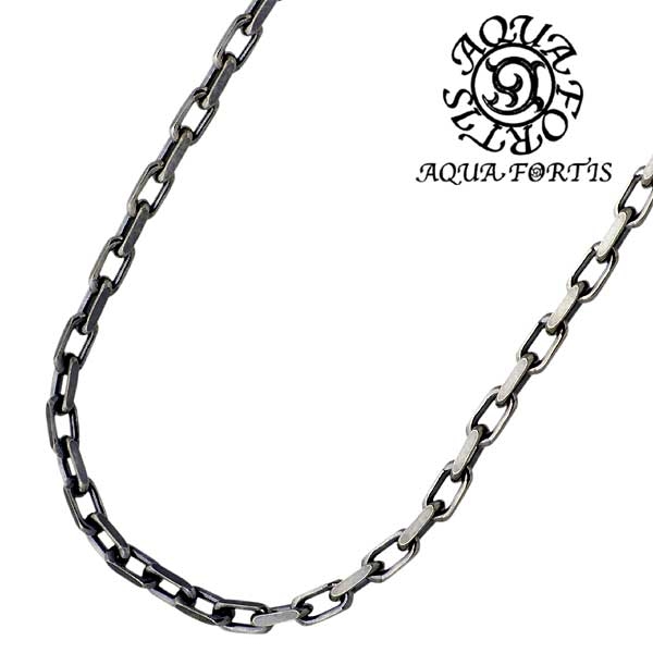 アクアフォーティス AQUA FORTIS シルバー ネックレス メンズ