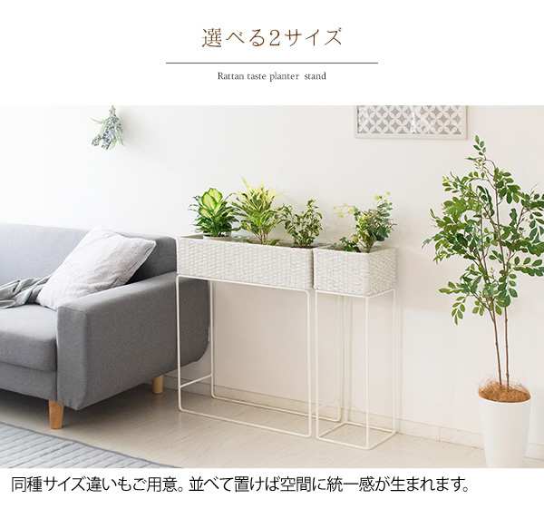 ラタン プランター スタンド Grand グラン 玄関先 インテリア