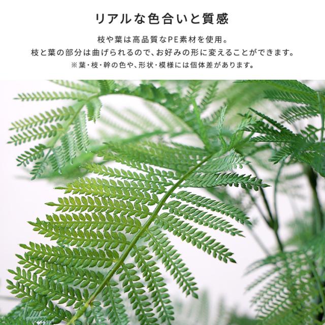 お手入れ簡単 フェイクグリーン エバーフレッシュ Lサイズ 180cm 鉢付