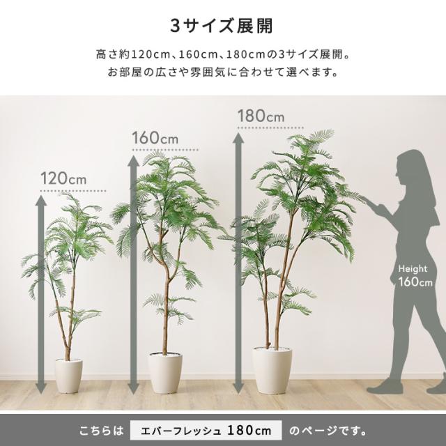 お手入れ簡単 フェイクグリーン エバーフレッシュ Lサイズ 180cm 鉢付