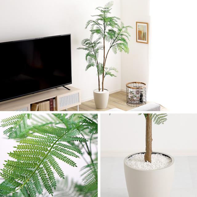 お手入れ簡単 フェイクグリーン エバーフレッシュ Lサイズ 180cm 鉢付
