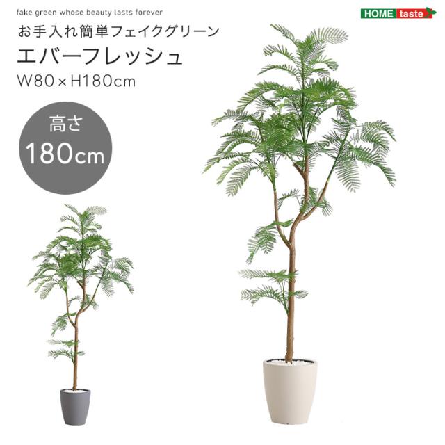 お手入れ簡単 フェイクグリーン エバーフレッシュ Lサイズ 180cm 鉢付