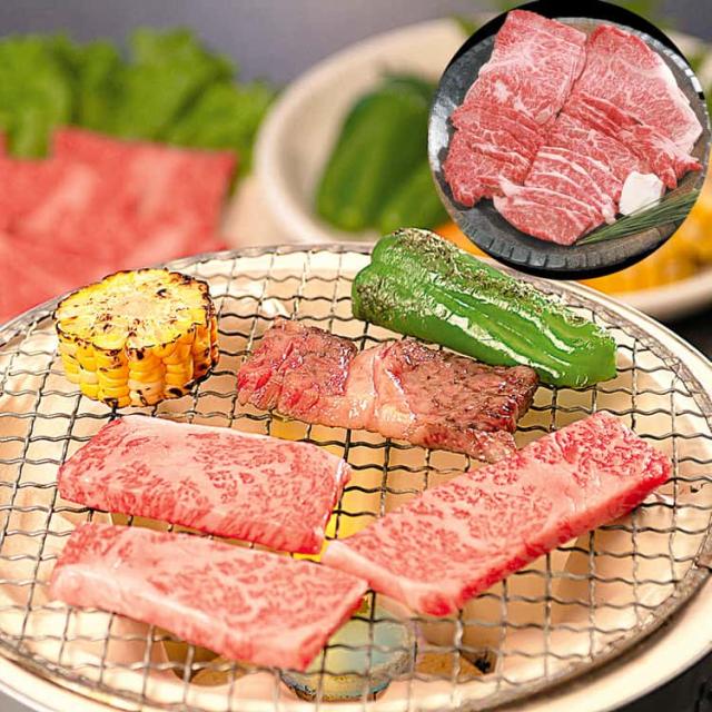 松阪牛焼肉 ロース 600g 黒毛和牛 牛肉 スライス 「肉の芸術品」と称賛される松阪牛のとろけるように甘く 柔らかく 風味豊かな味わいをお楽しみください お歳暮 お中元 お土産 ご進物 ギフト 贈り物に最適 ※離島は配送不可 790063 26,777円