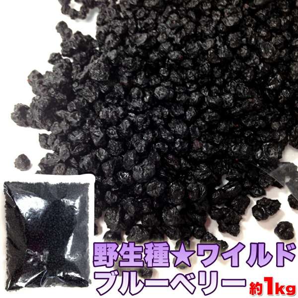 ドライ ワイルド ブルーベリー 大容量 １ｋｇ 野生種 希少なワイルドブルーベリーがこんなにどっさり 販売元より直送 SM00010048の通販は 5,054円