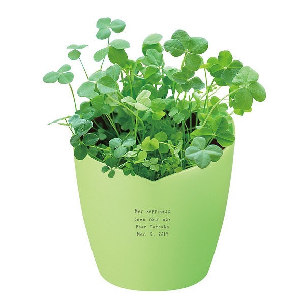 名入れ無料 オリジナルメッセージが入る ラッキークローバーセット きっとみつかる四葉のクローバー栽培キット 送料無料 の通販はau Pay マーケット スマートギフト