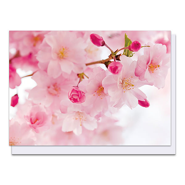 名入れ無料 メッセージカード サクラの通販はau Pay マーケット スマートギフト