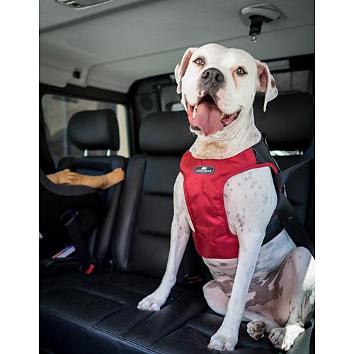 ラガーコーポレーション クリキットテレインブラックm 犬用ハーネス の通販はau Pay マーケット エスネット ストアー