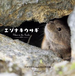 エゾナキウサギ Pikas in the Rocks ナキウサギふぁんくらぶ写真集 [本