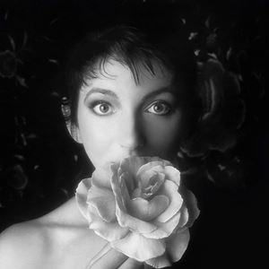 輸入盤 KATE BUSH / REMASTERED IN VINYL 2 [4LP]の通販は