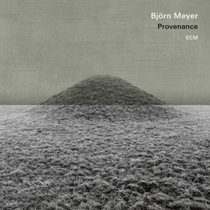 輸入盤 BJORN MEYER / PROVENANCE [LP]