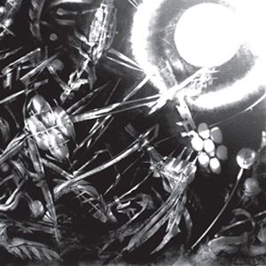 輸入盤 BUG / MACHINE [2LP]の通販は