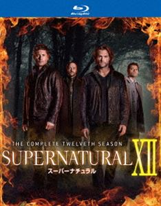 ハイスクールミステリー 学園七不思議 DVD-BOX〈7枚組〉 ハイスクールミステリー 学園七不思議 DVD-BOX〈7枚組〉 DVD