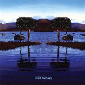 輸入盤 BRUCE DICKINSON / SKUNKWORKS [2LP]の通販は