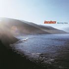 輸入盤 INCUBUS / MORNING VIEW [2LP]の通販は