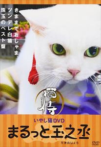 いやし猫DVD 猫侍 三匹の玉之丞 レンタル落ち