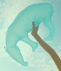 ねごと／お口ぽかーん!LAST TOUR 〜寝ても覚めてもねごとじゃナイト〜（通常盤） [Blu-ray]の通販は 5,653円