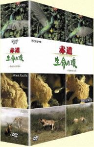 期間限定キャンペーン 赤道 生命の環 DVD-BOXII [DVD] 外国映画