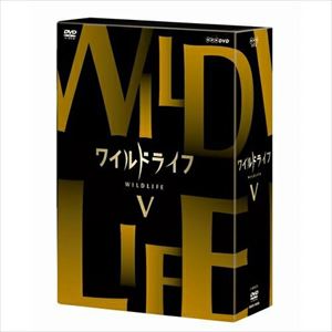 NHKスペシャル ローマ帝国 DVD-BOX〈3枚組〉 Amazon.co.jp: NHKスペシャル ローマ帝国 DVD-BOX : DVD