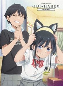 TVアニメ「疑似ハーレム」Blu-ray BOX [Blu-ray]