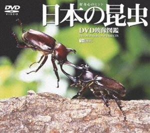 日本の昆虫／DVD映像図鑑 [DVD]