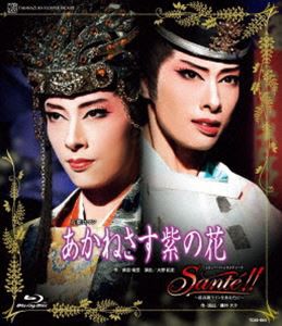 宝塚歌劇花組公演・実況 レビュー・ファンタスティーク「Sante!!」～最高級… 宝塚歌劇花組公演・実況 レビュー・ファンタスティーク「Sante