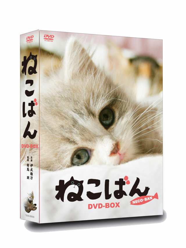 連続テレビドラマ ねこばん DVD-BOX〈4枚組〉＋映画
