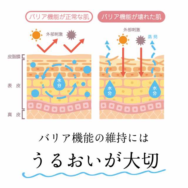 100ml】金属アレルギーの敏感肌でも安心して使える化粧水 ステン