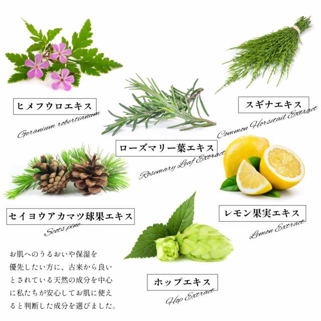 100ml】金属アレルギーの敏感肌でも安心して使える化粧水 ステン