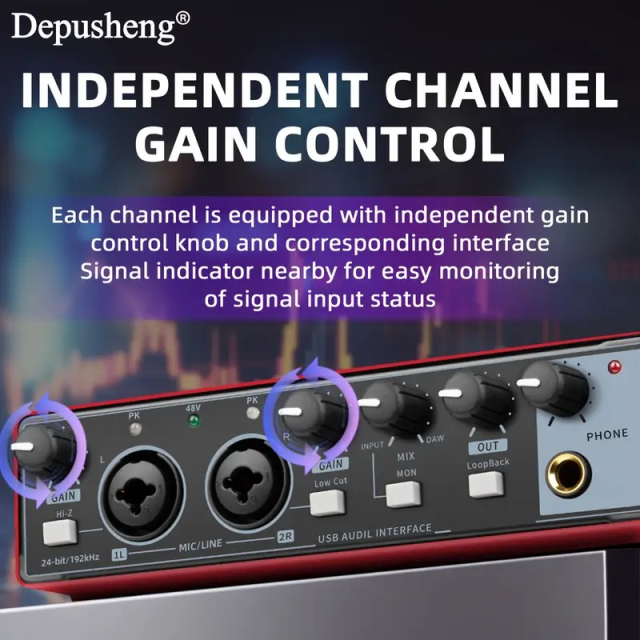 Depusheng USBオーディオインターフェイス Amazon.com: Depusheng RED USB Audio Interface for Recording