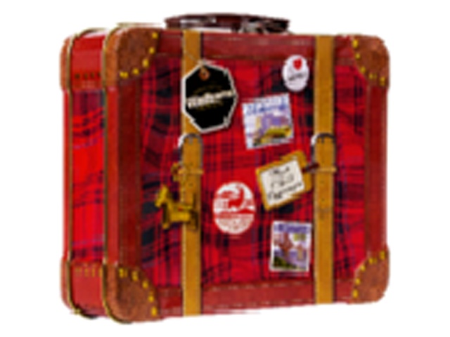 ウォーカー スーツケース缶２１９ｇ ×12 【全国送料無料】(沖縄・離島は別途)