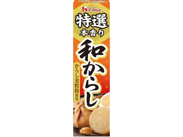 ハウス食品 特選本香り和からし ４２ｇ ×120【全国送料無料】(一部地域別途)
