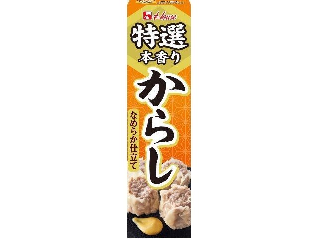 ハウス食品 特選からし ４２ｇ ×120【全国送料無料】(一部地域別途)
