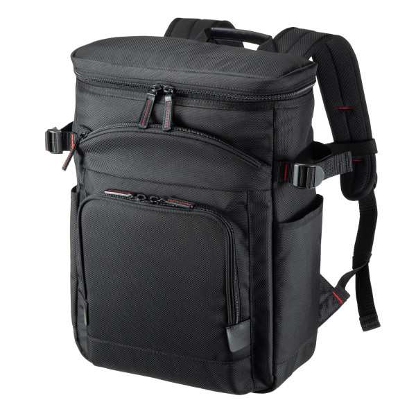 サンワサプライ 【送料無料】BAG-EXE13N エグゼクティブビジネスリュックPRO (BAGEXE13N)の通販は
