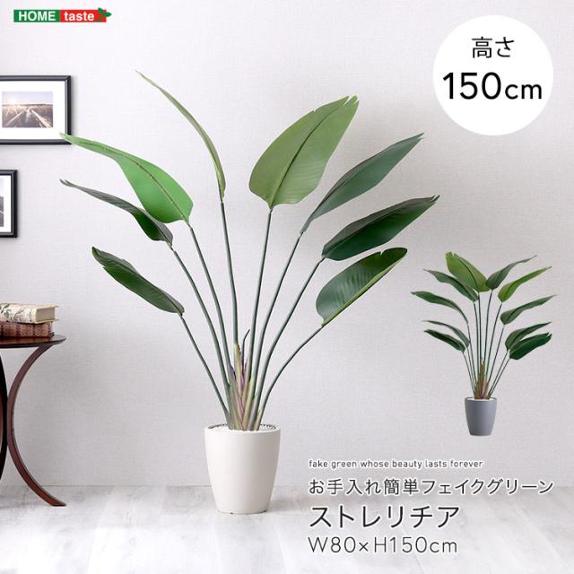 お手入れ簡単フェイクグリーン ストレリチア Mサイズ(150cm) (グレー) ホームテイスト SH-06-STR-M-GY【送料無料】 (SH06STRMGY)