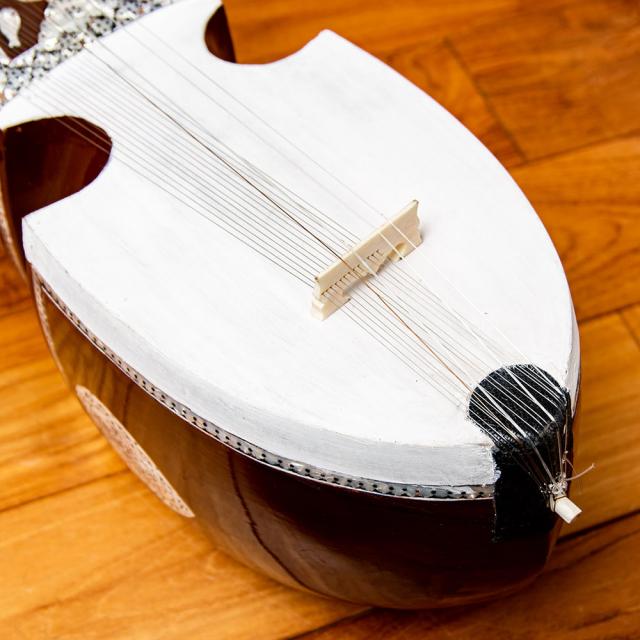 送料無料】 ルバーブ Rubab / 楽器 弦楽器 民族楽器 punjabi rabab