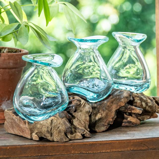 流木onガラスポット 流木とガラスのボウル 流木ガラスポット ガラス