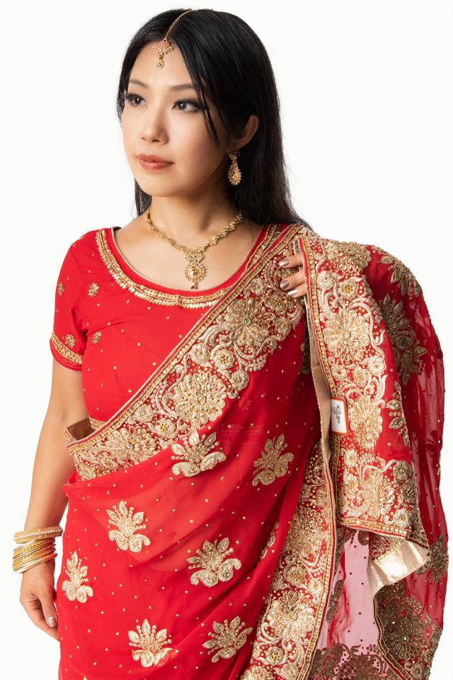 ☆インド サリー 衣装 婚礼 ボリウッド☆（インド・イギリス海外 