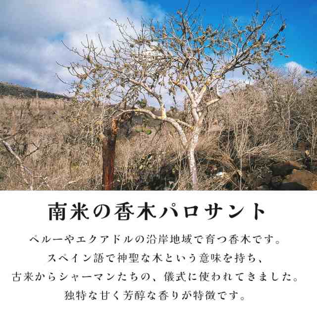 パロサント 天然の香木〔約100g〕品質の良いペルーのピウラ産 PALO