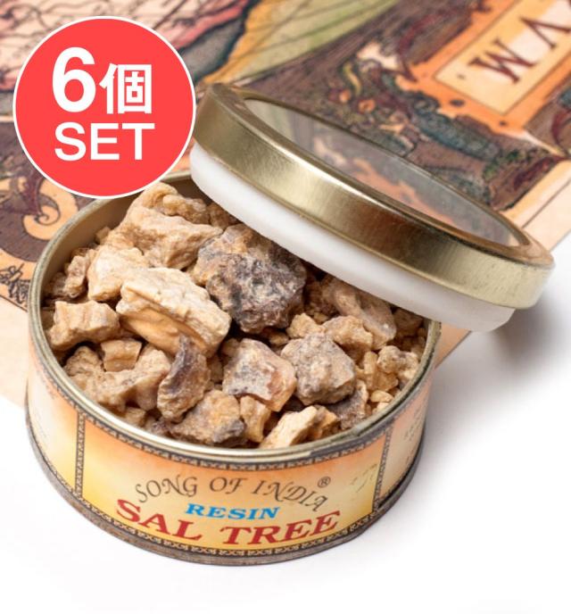 【送料無料】 【6個セット】沙羅双樹(サル ツリー) レジン樹脂香 / Sal Tree インド香 お香 インセンス アジア エスニック