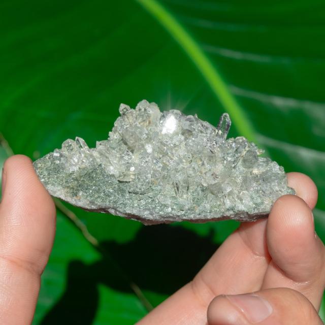 【送料無料】 【一点物】 ヒマラヤ水晶原石 【47.5g】クラスター 透明 / クリスタル ヒマラヤ産 天然石 宝石 ジャイプール ジュエル ジュエリー パワーストーン 化石 エスニック アジア インド アクセサリー アンクレット ピアス リング ビンディー