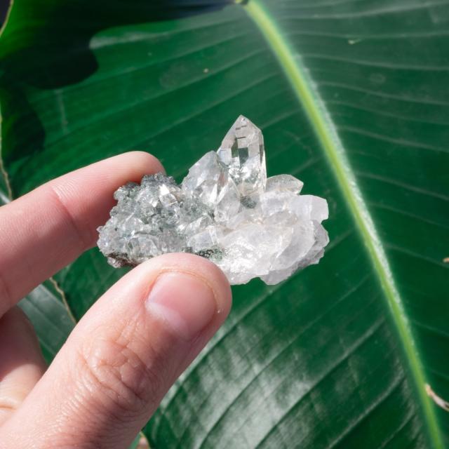 【送料無料】 【一点物】 ヒマラヤ水晶原石 39.5g】透明度 セルフヒールド バーコード ガーデン / クリスタル ヒマラヤ産 天然石 宝石 ジャイプール ジュエル ジュエリー パワーストーン 化石 エスニック アジア インド アクセサリー アンクレット ピアス リング ビンディー