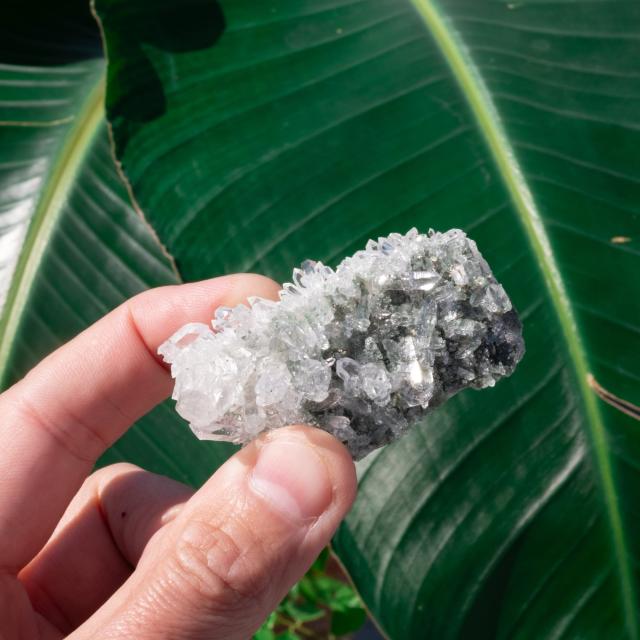【送料無料】 【一点物】 ヒマラヤ水晶原石 39g】透明度 クラスター タビー バーコード / クリスタル ヒマラヤ産 天然石 宝石 ジャイプール ジュエル ジュエリー パワーストーン 化石 エスニック アジア インド アクセサリー アンクレット ピアス リング ビンディー