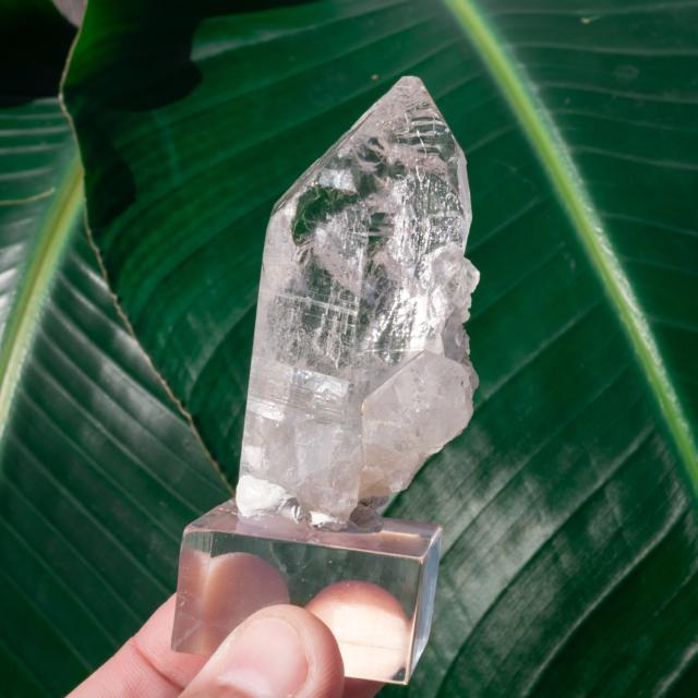 【送料無料】 【一点物】 ヒマラヤ水晶原石 【87.5g】ポイント 透明 ゲートウェイ セルフヒールド バーコード / クリスタル ヒマラヤ産 天然石 宝石 ジャイプール ジュエル ジュエリー パワーストーン 化石 エスニック アジア インド アクセサリー アンクレット ピアス リン_6