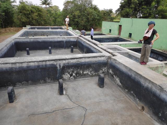 インディゴケーキ/インディゴブロック ②-A