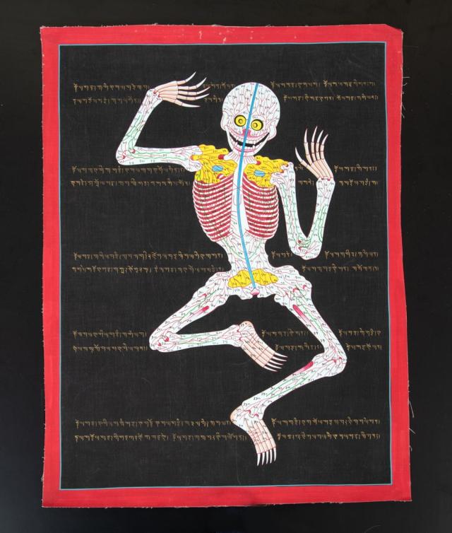 人体図 掛軸 伝統的アート　タンカペイント 送料無料】 〔一点物〕タンカ チベット医学 人体経絡図 37x49cm / 仏画